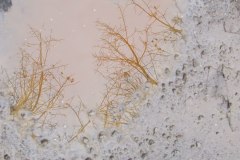 2010_010112xjuly0212
