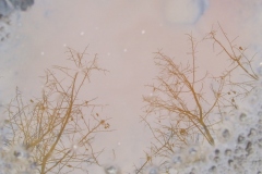 2010_010112xjuly0213