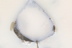 2010_010112xjuly0224
