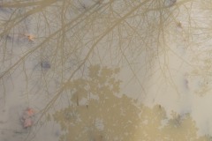 2010_010112xjuly0243