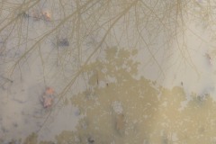 2010_010112xjuly0244