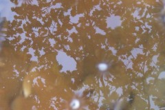 2010_010112xjuly0248