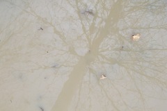 2010_010112xjuly0265