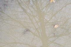 2010_010112xjuly0269