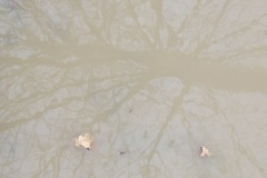 2010_010112xjuly0272