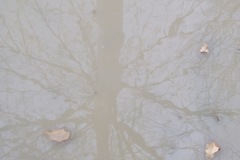 2010_010112xjuly0273